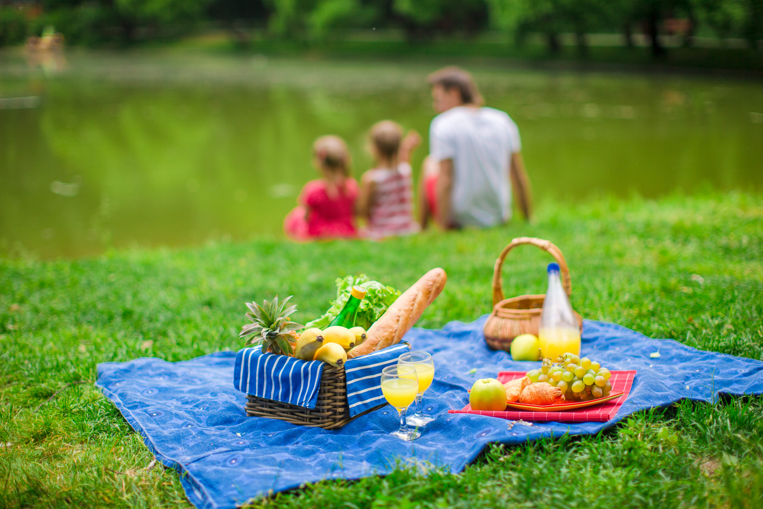 Family Picnic